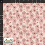  COUPONS FILIPPA 1 ROSE